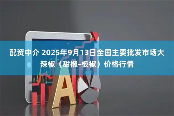 配资中介 2025年9月13日全国主要批发市场大辣椒（甜椒-板椒）价格行情